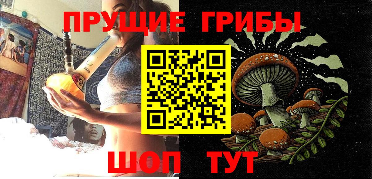 Галлюциногенные грибы GOLDEN TEACHER Сыктывкар